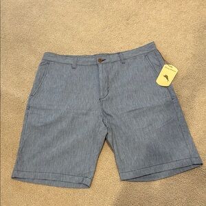 Tommy Bahama Blue and White Stripe Flat Front Shorts